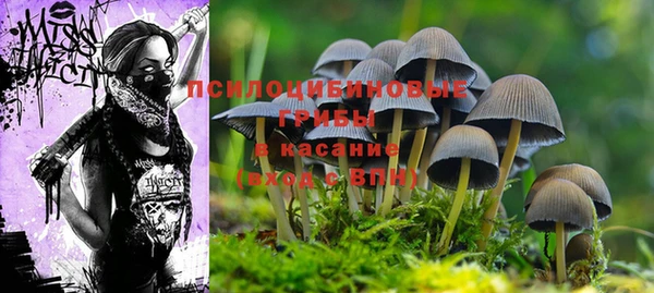 прущие крисы Липки