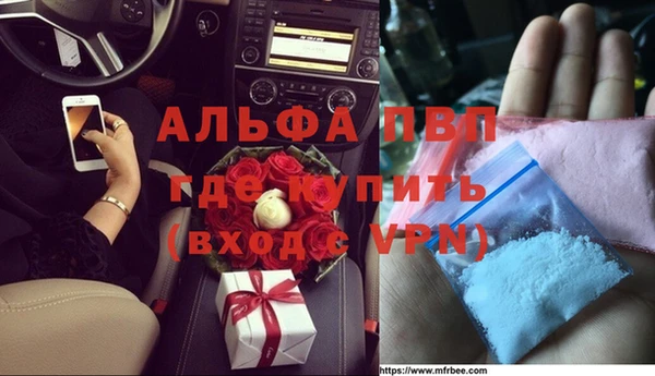 индика Ладушкин