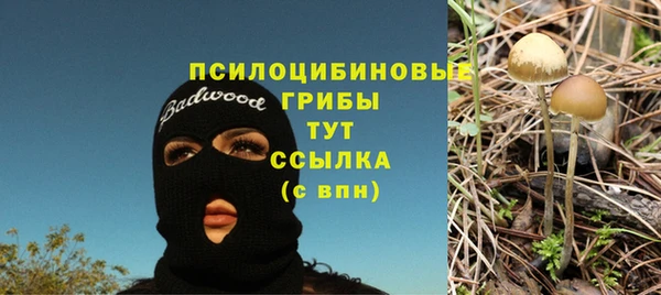 мяу мяу кристалл Магас