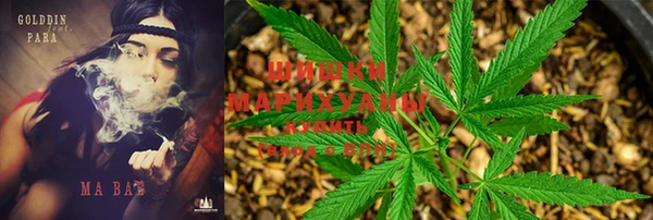 бошки Мегион