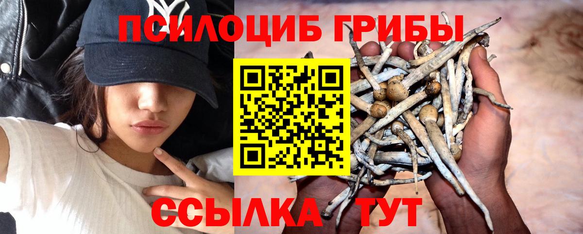 Лиски  Псилоцибиновые грибы прущие грибы  Вход с VPN  Галлюциногенные грибы Magic Shrooms 